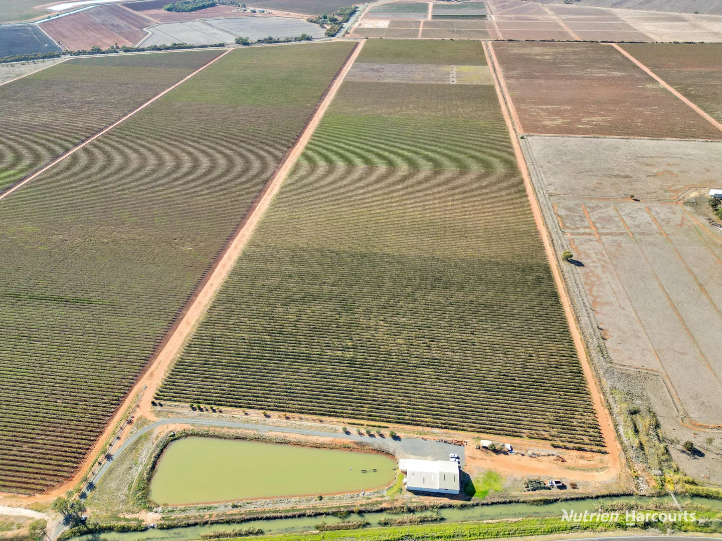 Additional image 14 of 1631 Rankins Springs Road, Myall Park NSW 2681