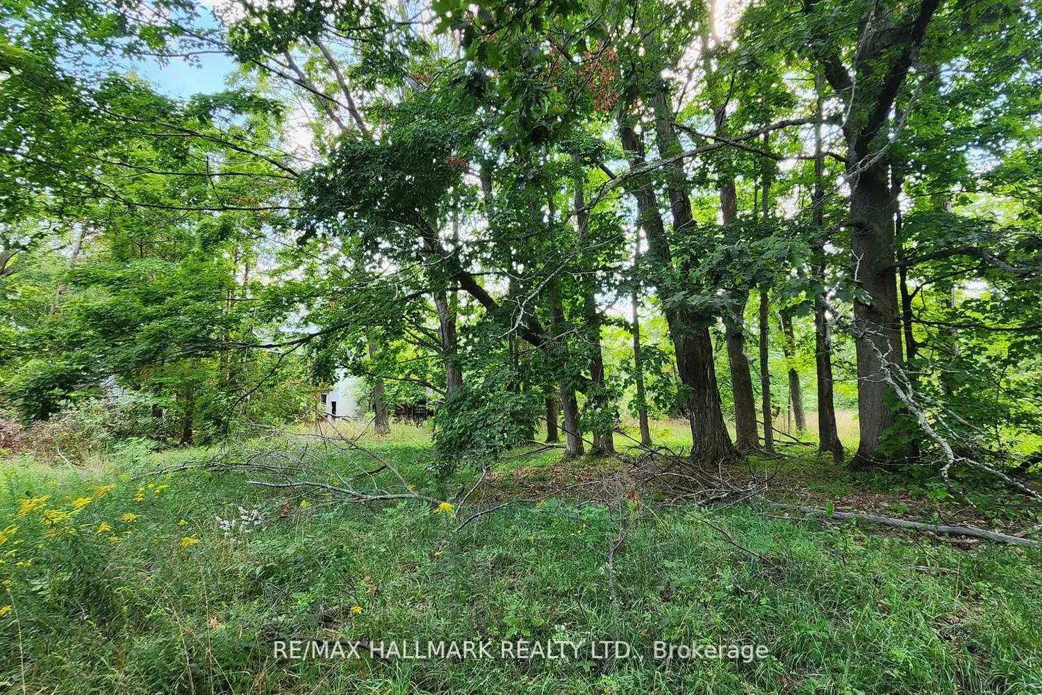 Additional image 20 of 26 Lakeshore Road