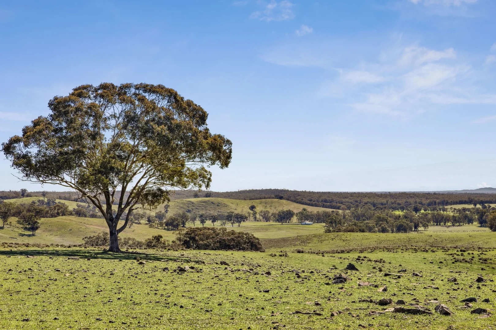 Additional image 19 of "Cairn Hill" Cnr Patons & Doles Road, Kimbolton VIC 3551