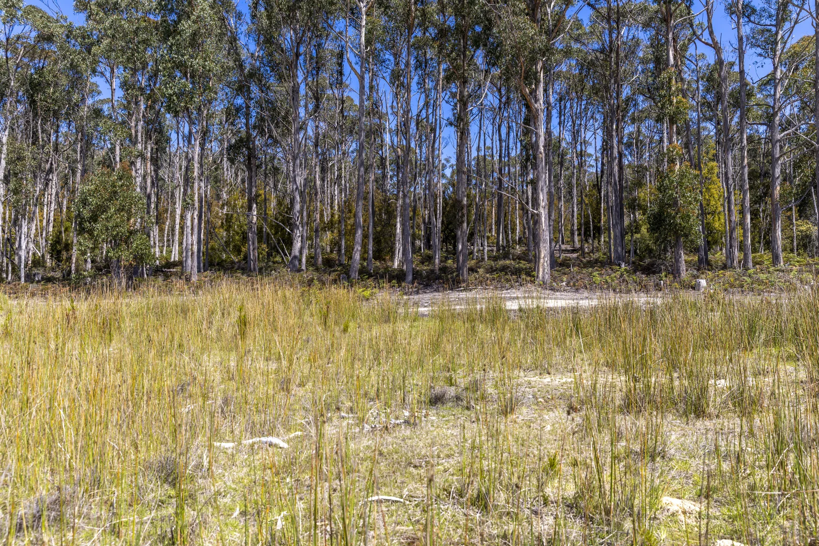 Additional image 13 of Lot 5 Harveys Hill Close, Deep Bay TAS 7112