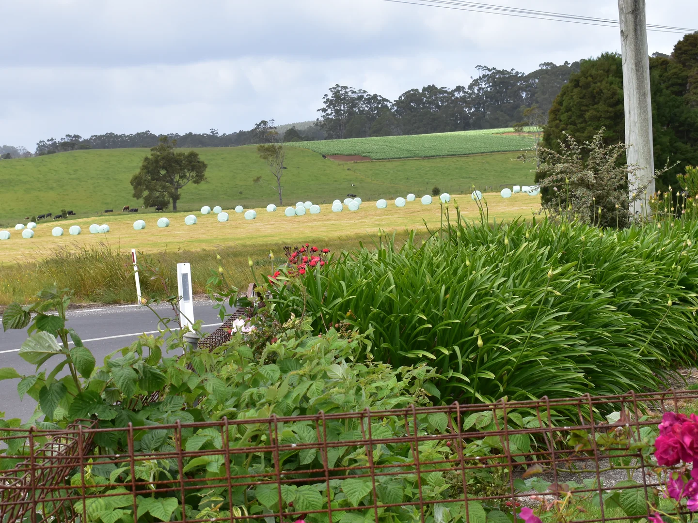 Additional image 21 of 822 Mengha Road, South Forest TAS 7330