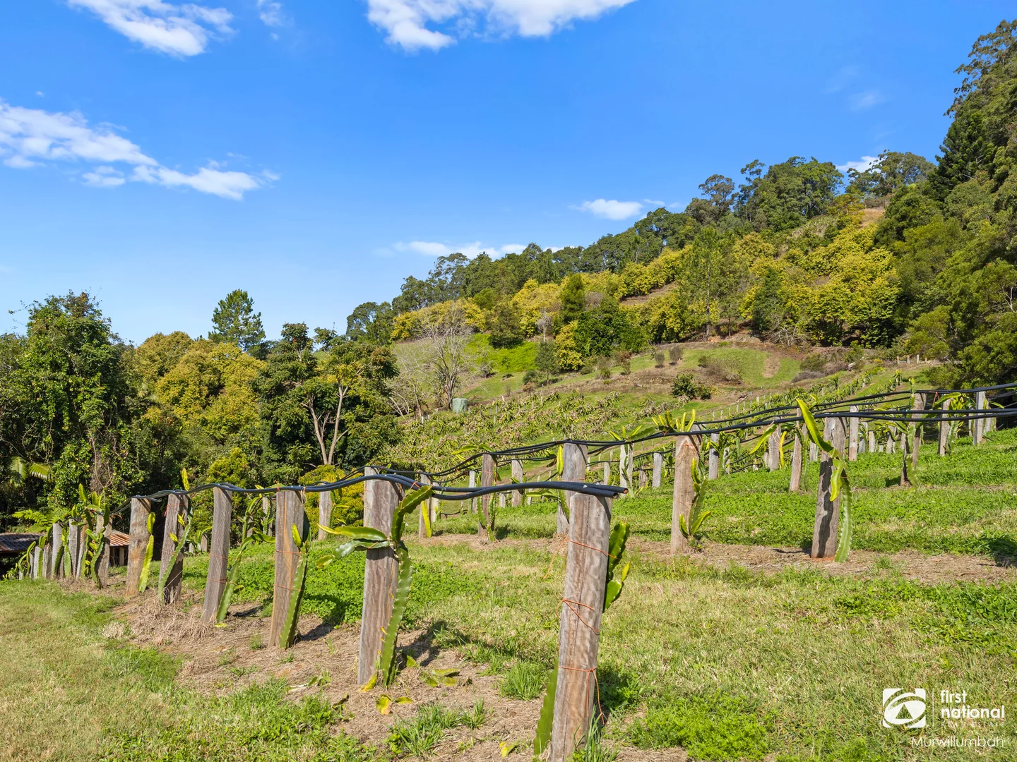 Additional image 22 of 7083 Tweed Valley Way, Dunbible NSW 2484