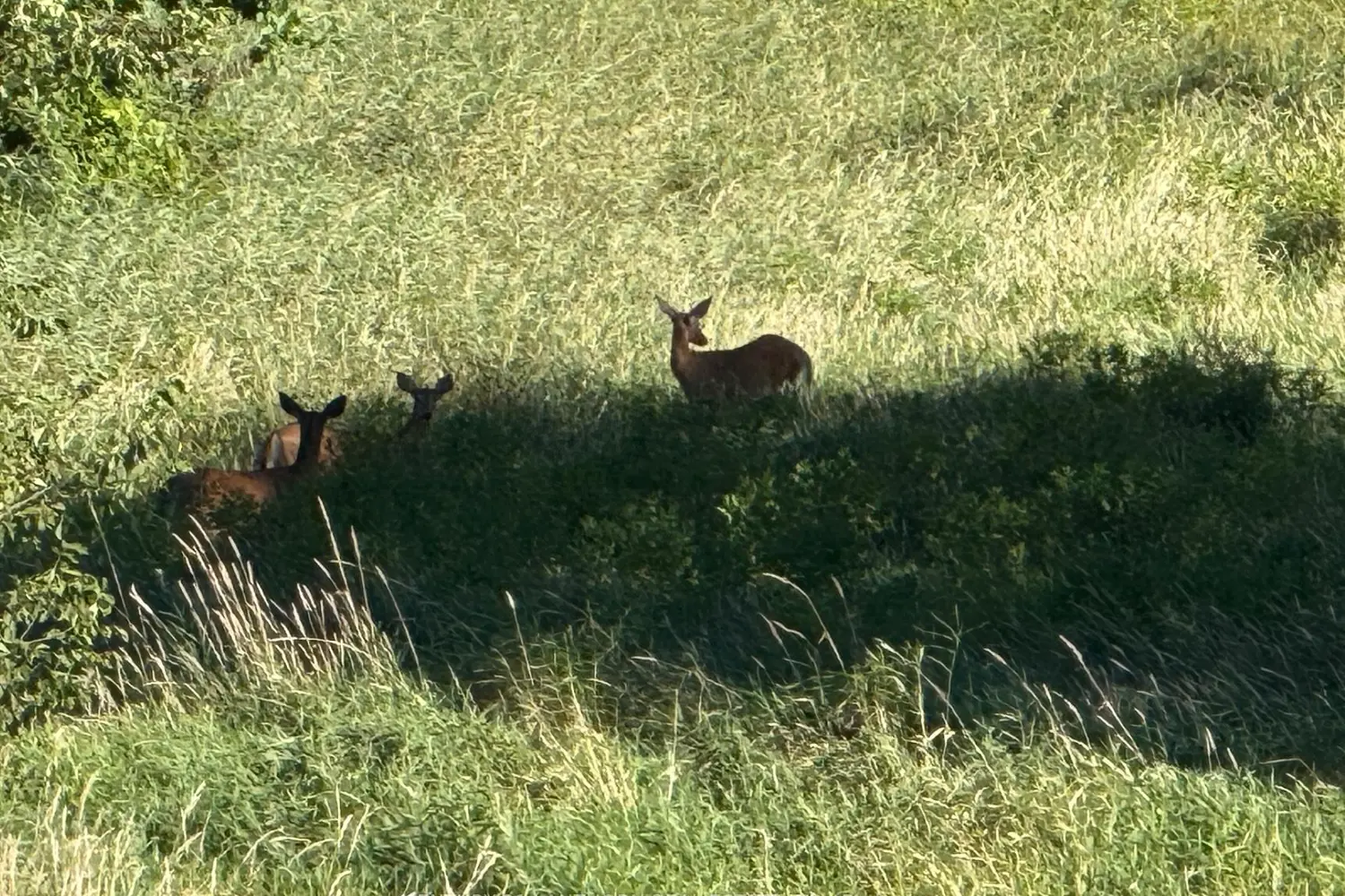 Additional image 7 of 0 Deloro Road