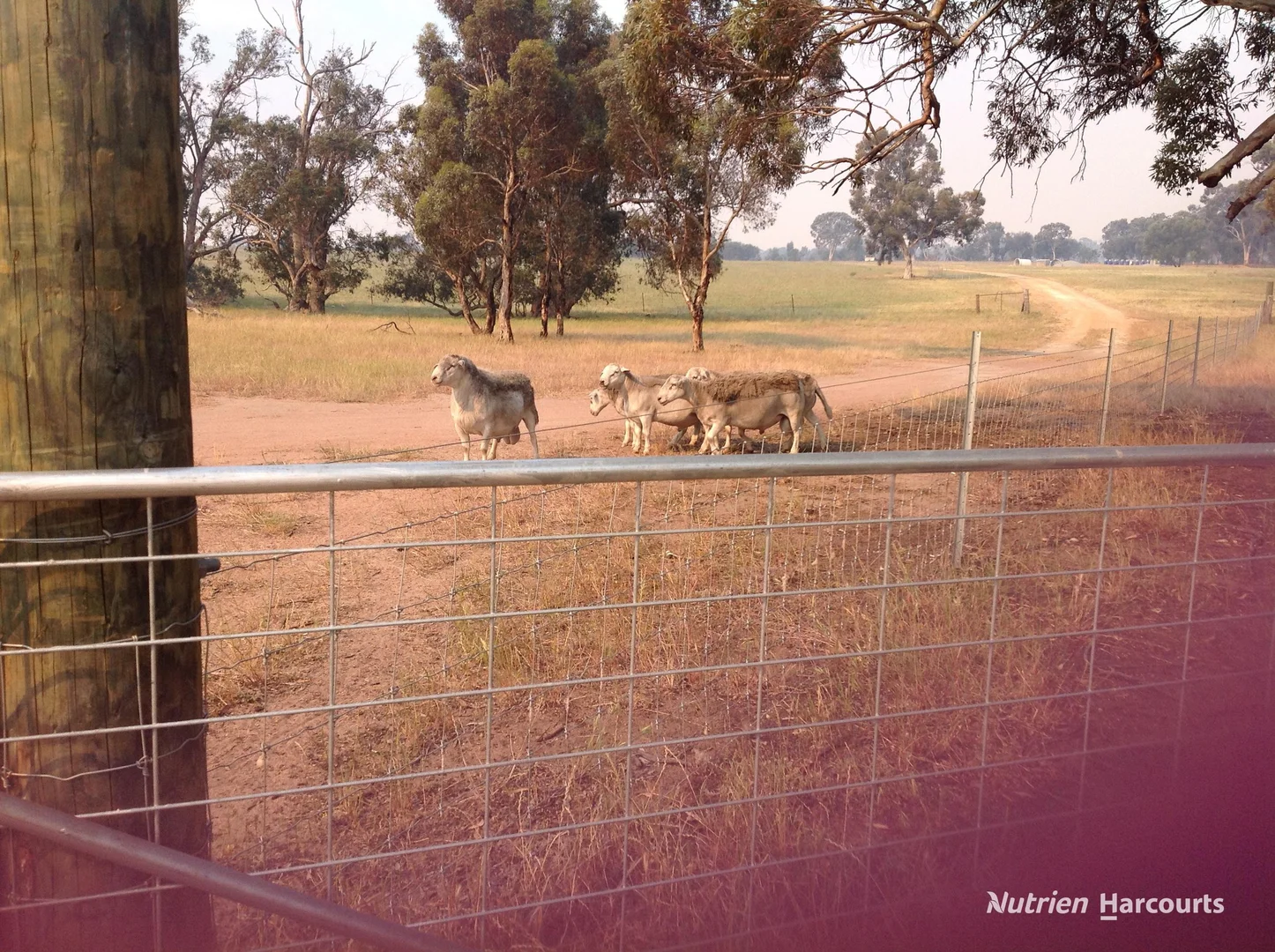 Additional image 2 of 401 York-Williams Road, Dale WA 6304