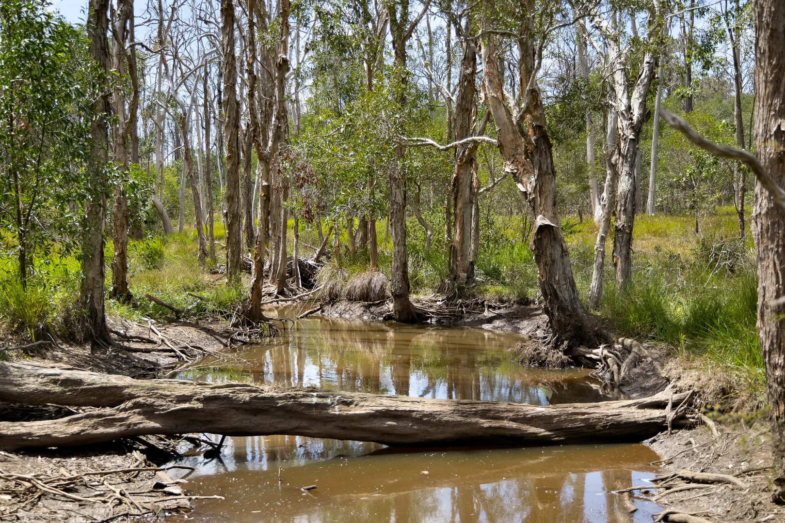 Additional image 3 of 435 Ford Road, Priestdale QLD 4127