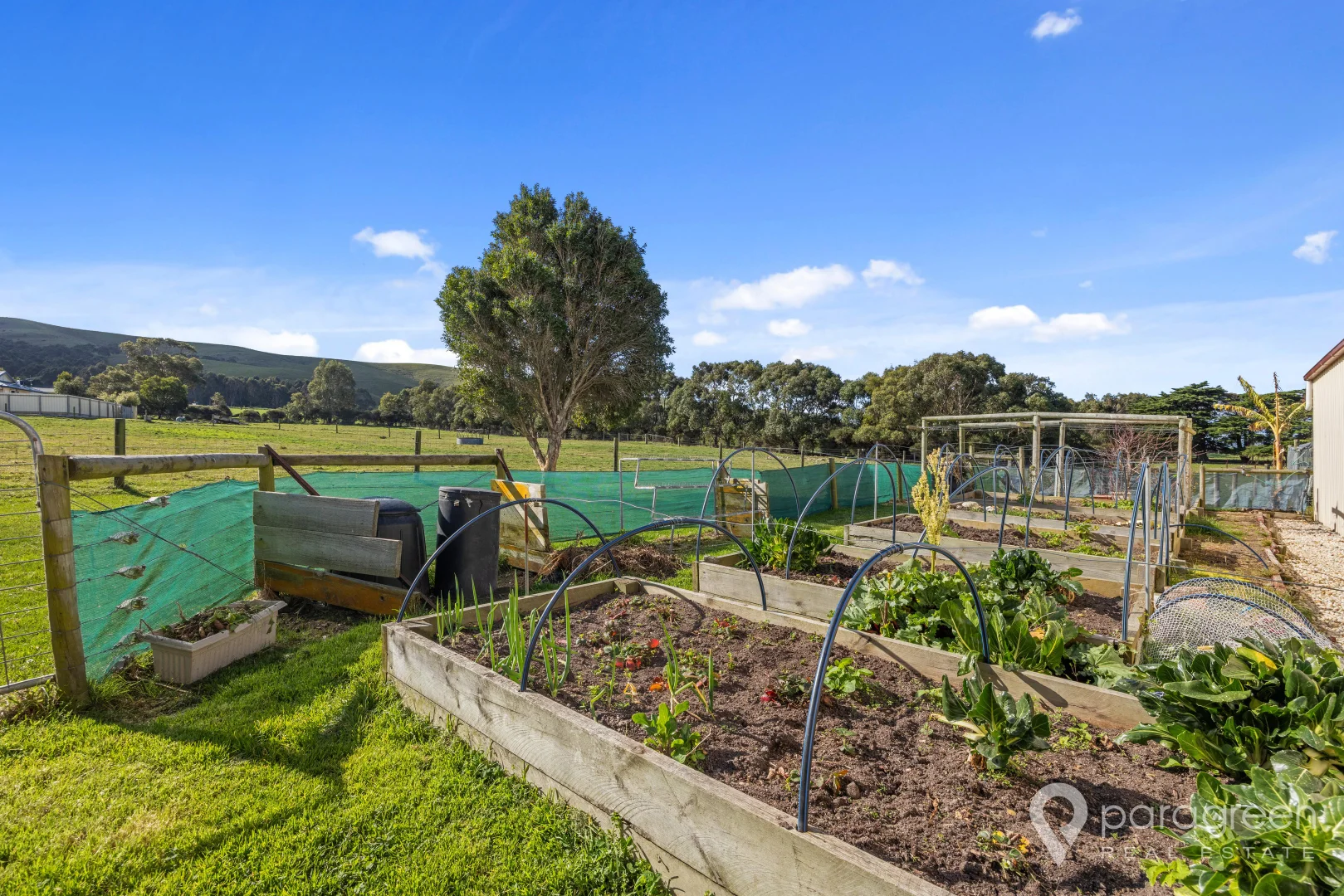 Additional image 6 of 60 McKanes Road, Agnes VIC 3962