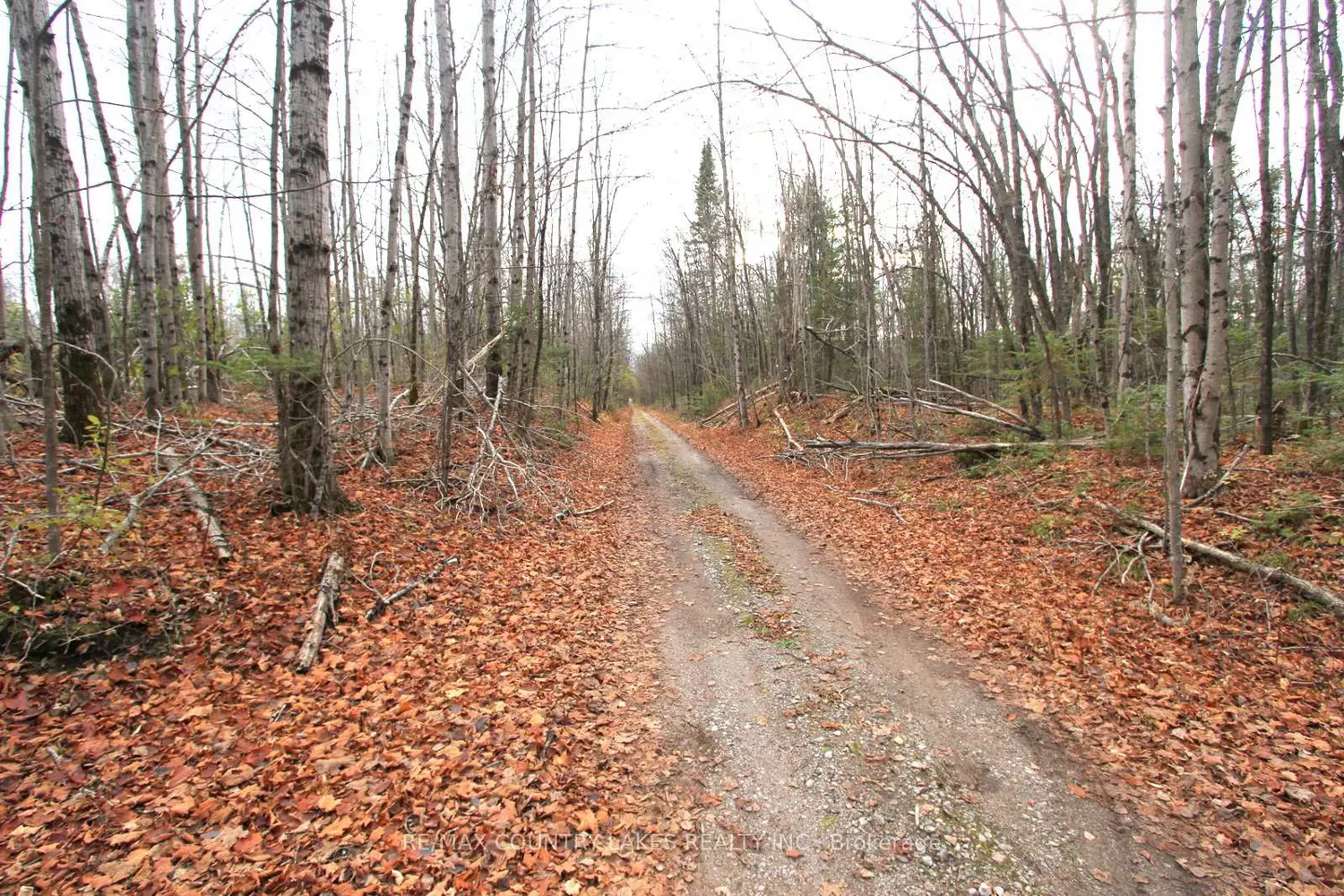 Additional image 16 of Lt3 Ramblewood Trail