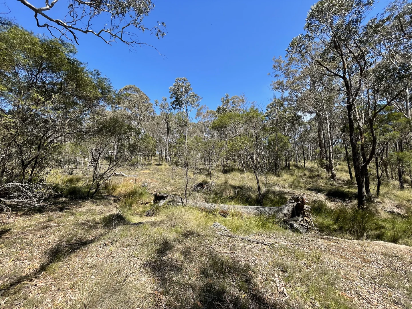 Additional image 15 of 925 Marked Tree Road, Gundaroo NSW 2620