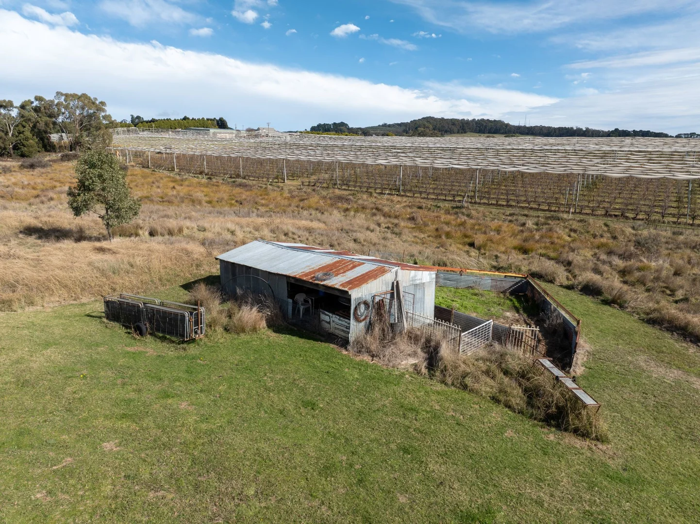 Additional image 32 of 19 Wallace Lane, Orange NSW 2800