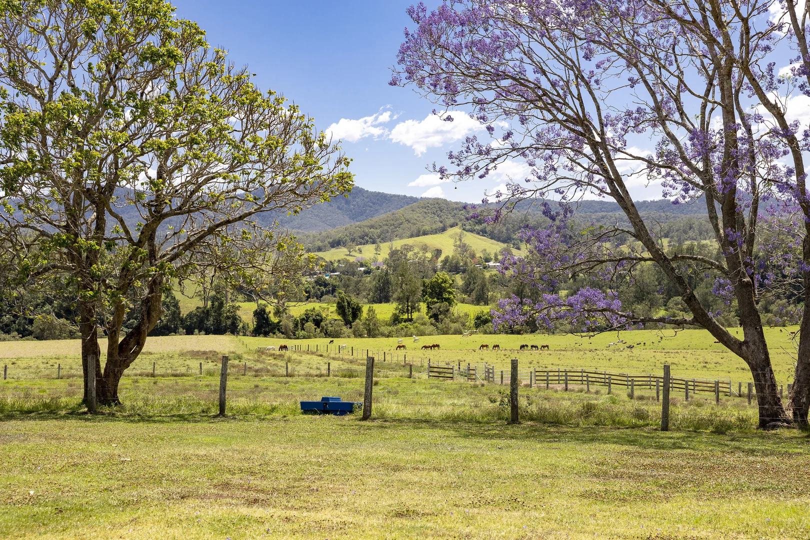 Additional image 19 of Lot 1/40 Carsons Rd, Upper Taylors Arm NSW 2447