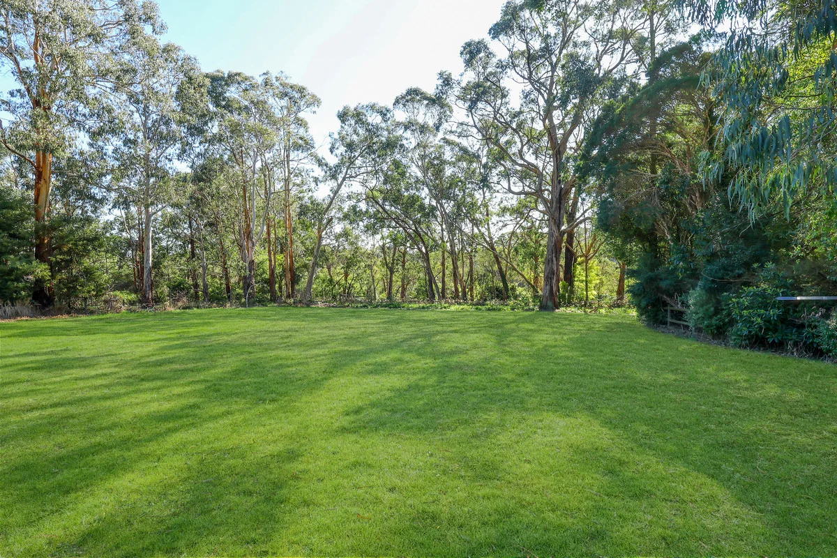 Additional image 6 of 169 Timboon - Curdievale Road, Timboon VIC 3268