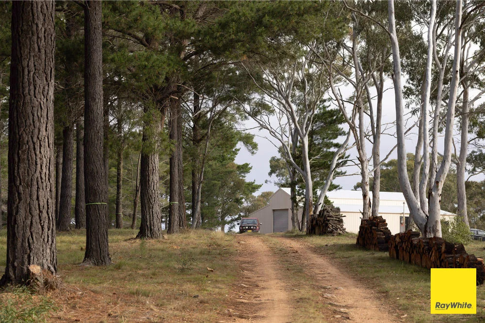 270 Pine Bank Drive, Lower Boro NSW 2580