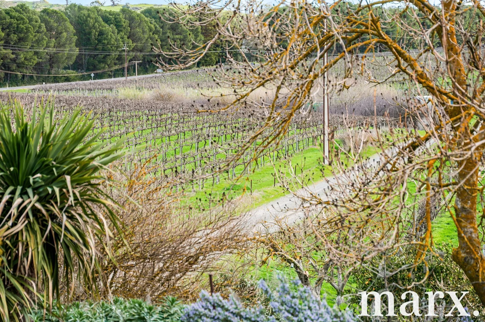 Additional image 14 of 137 Radford Road, Angaston SA 5353