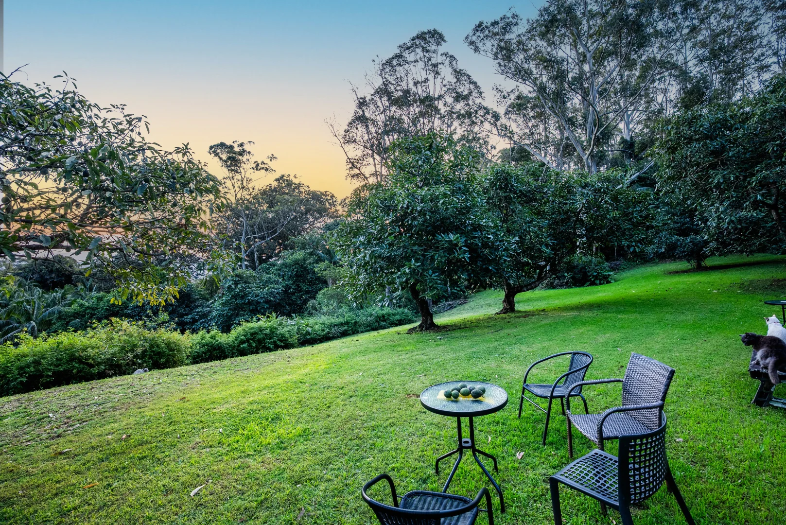 Additional image 27 of 186-196 Beacon Road, Tamborine Mountain QLD 4272