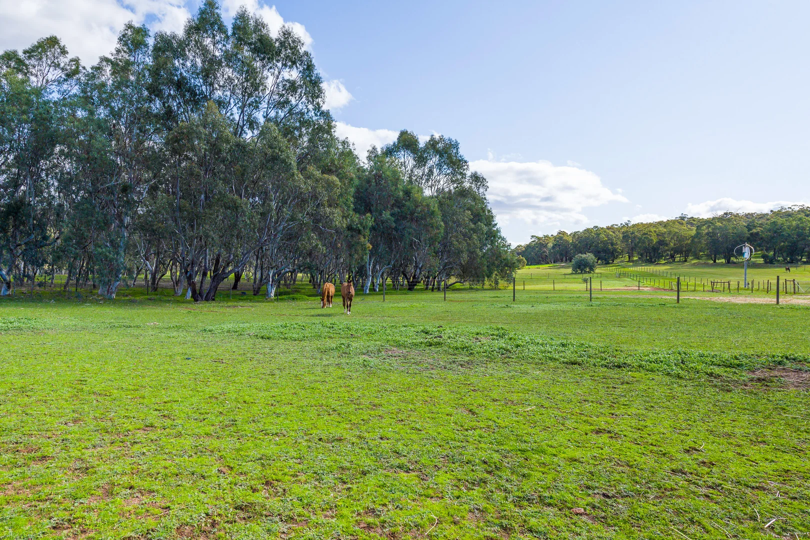 Additional image 55 of 3101 Bindoon-Dewars Pool Road, Bindoon WA 6502