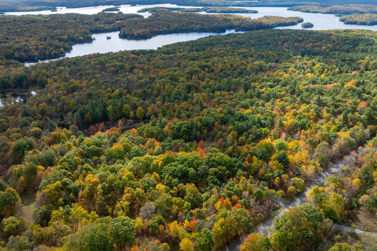 Additional image 16 of Pt Lts 12 & 13 Devil Lake Road