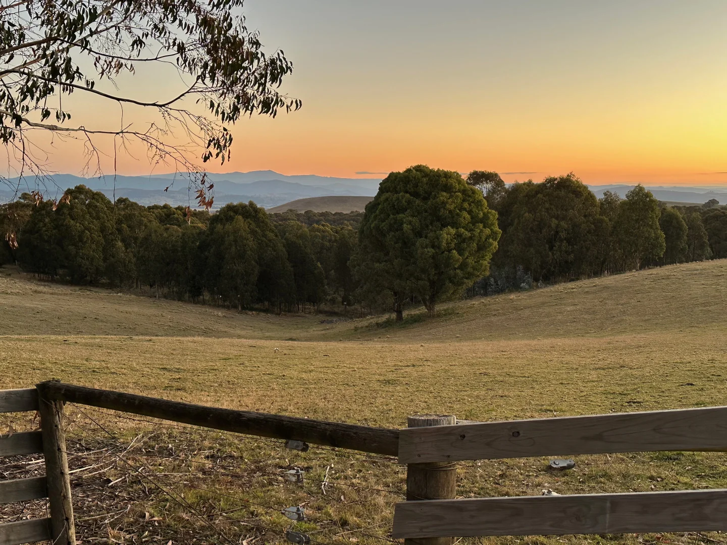 Additional image 27 of 696 Glenroy Road, Merrijig VIC 3723