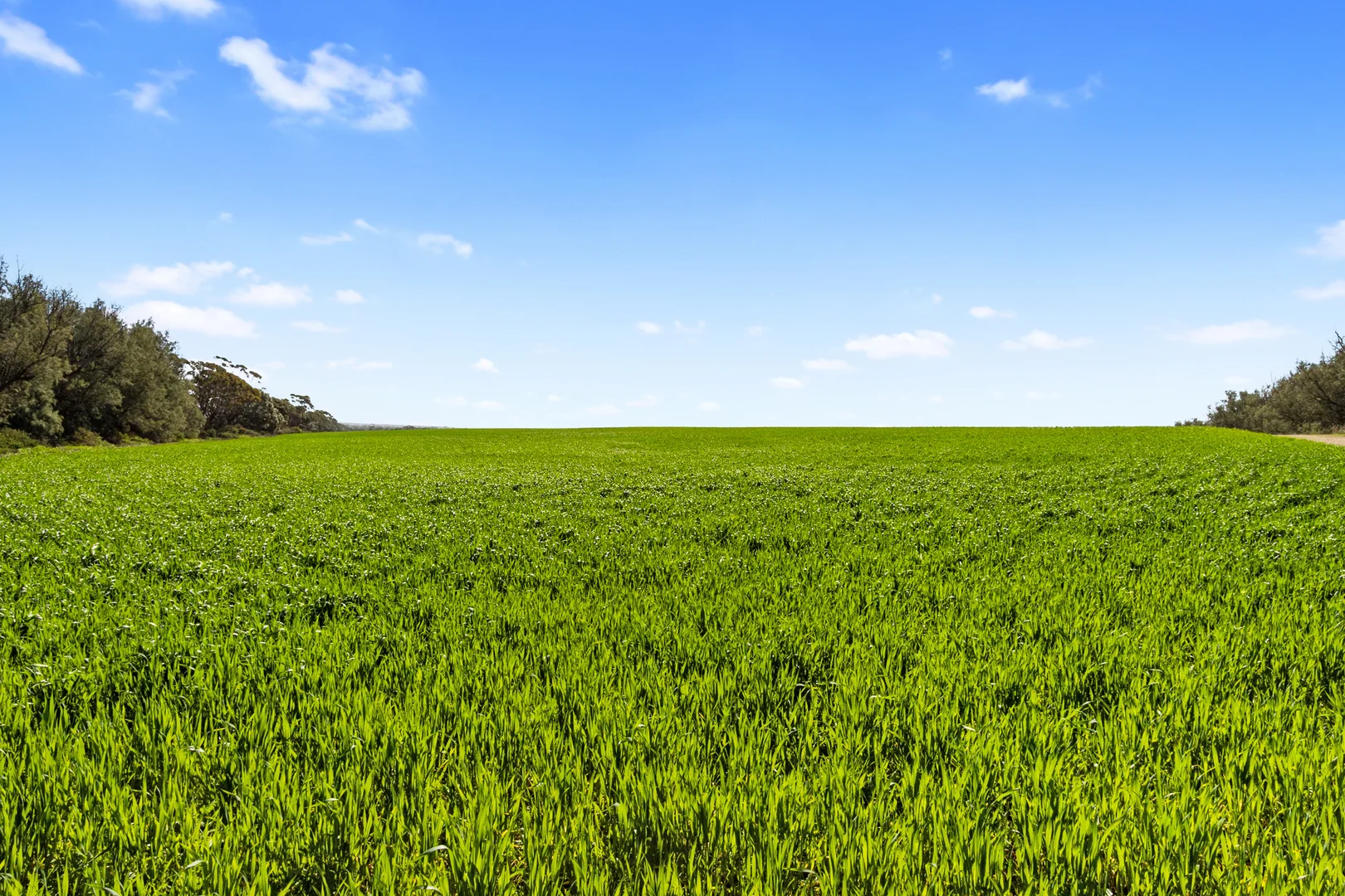 Additional image 7 of 382 Rodda Road, Boors Plain SA 5554