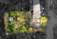 Additional image 16 of Lower Cross, Coleford GL16