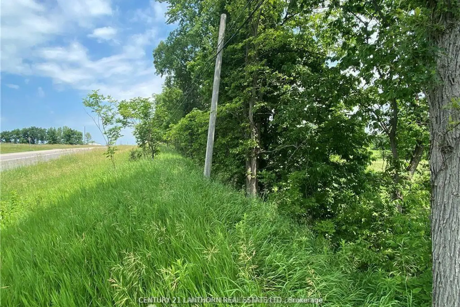 Additional image 8 of 0 Hwy 62