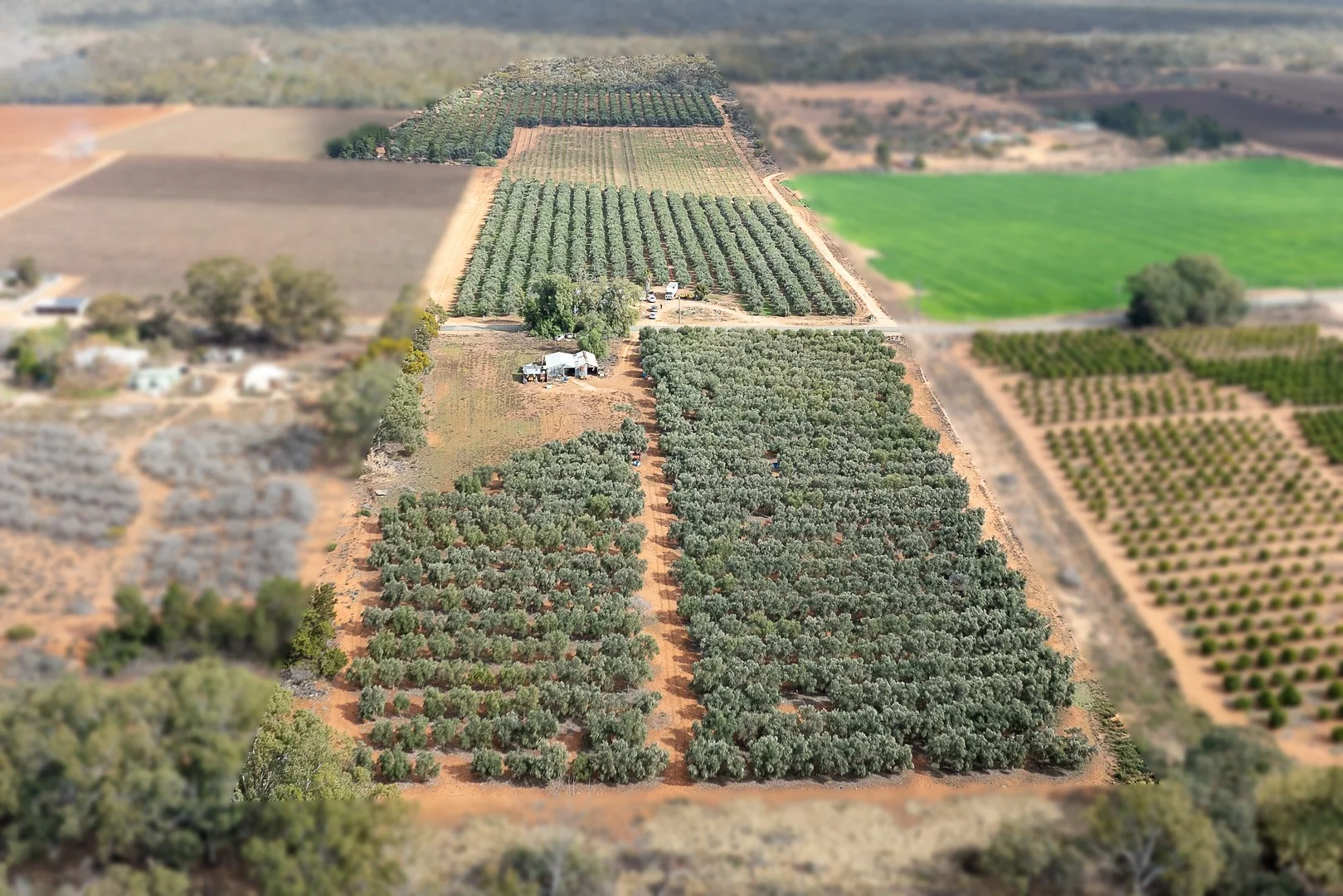 334 Katarapko Crescent, Winkie SA 5343