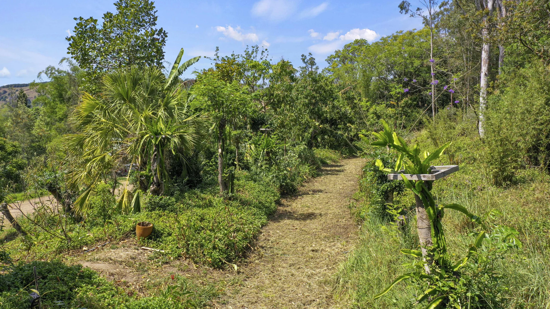Additional image 11 of Share D5/1158 Pinchin Road, The Channon NSW 2480