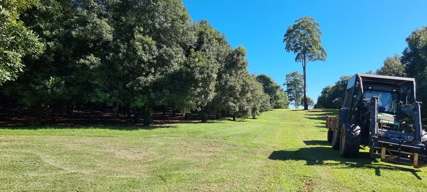 Additional image 7 of 161 Fletcher Road, Dunoon NSW 2480