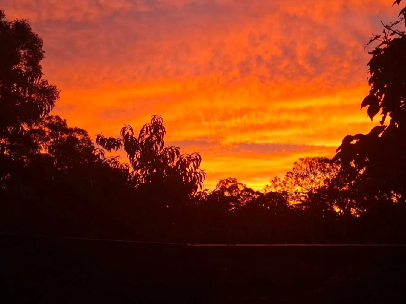 Additional image 18 of Carpendeit VIC 3260