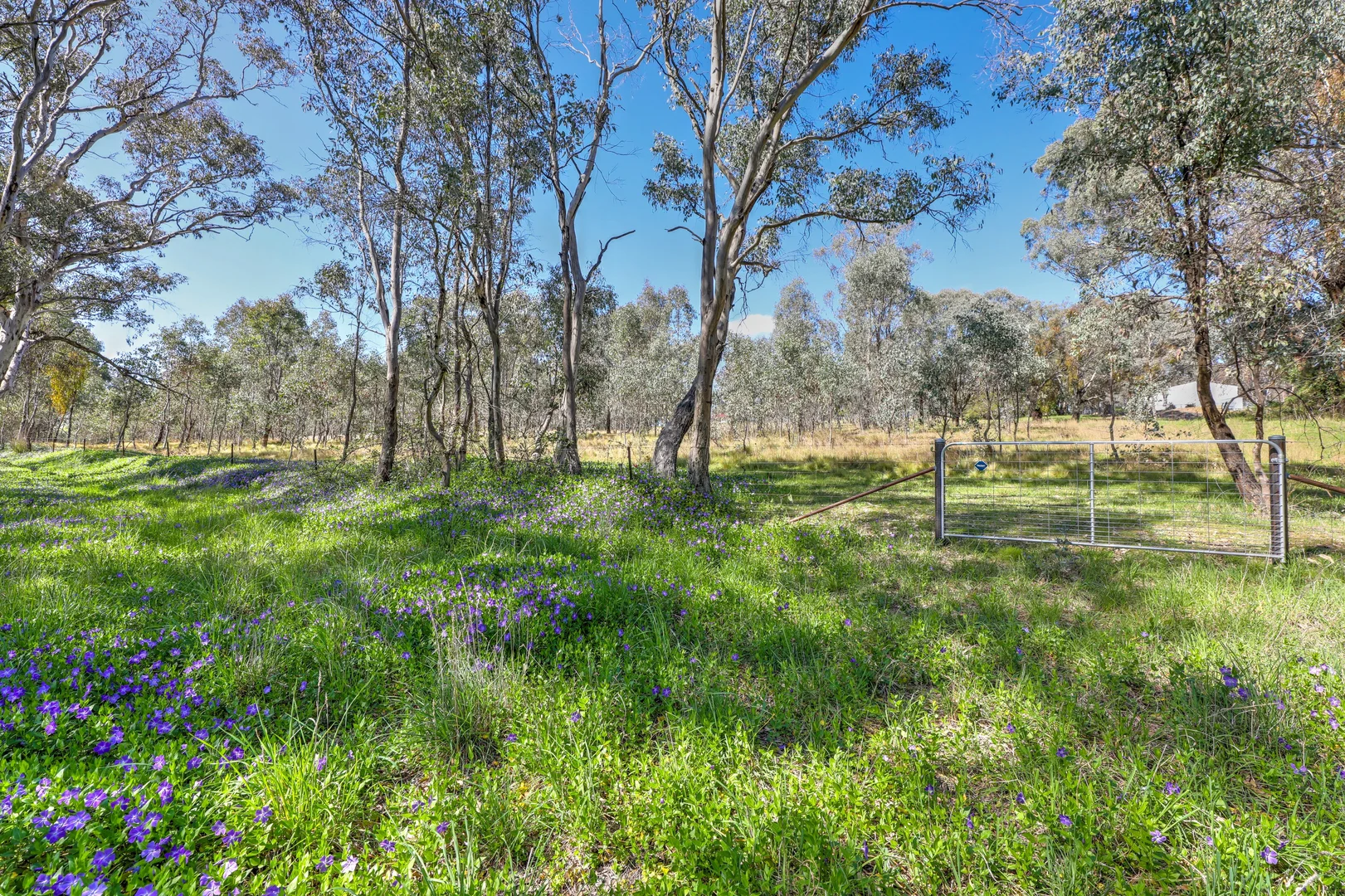 Additional image 7 of Lot 77-79, 131 Prescot Street, Lyndhurst NSW 2797