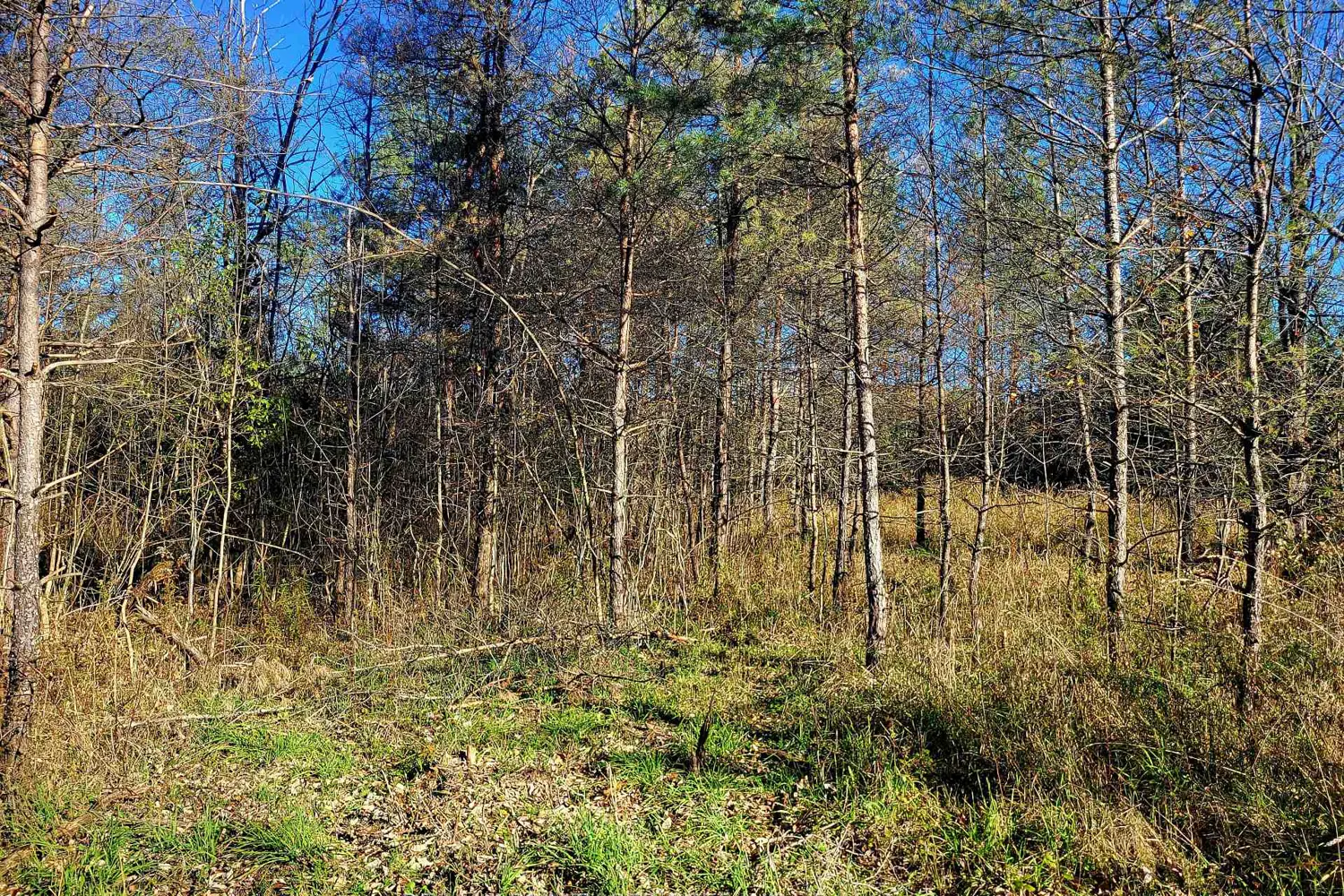 Additional image 7 of 395421 Concession 2 Road