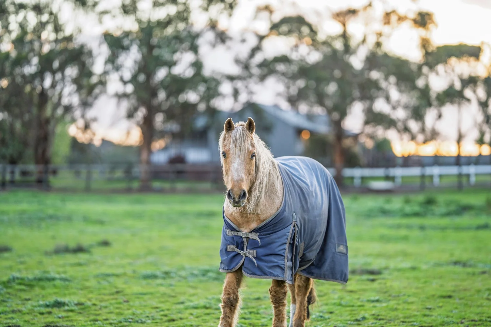 Additional image 19 of 95 Russell Street, Modewarre VIC 3240