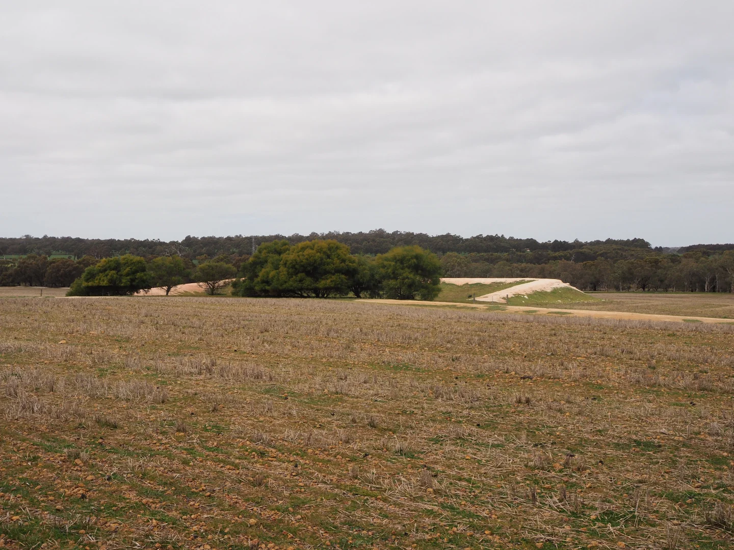 Additional image 8 of Dowrene Farm, Cnr Yerriminup and Yarralena Roads, Cranbrook WA 6321