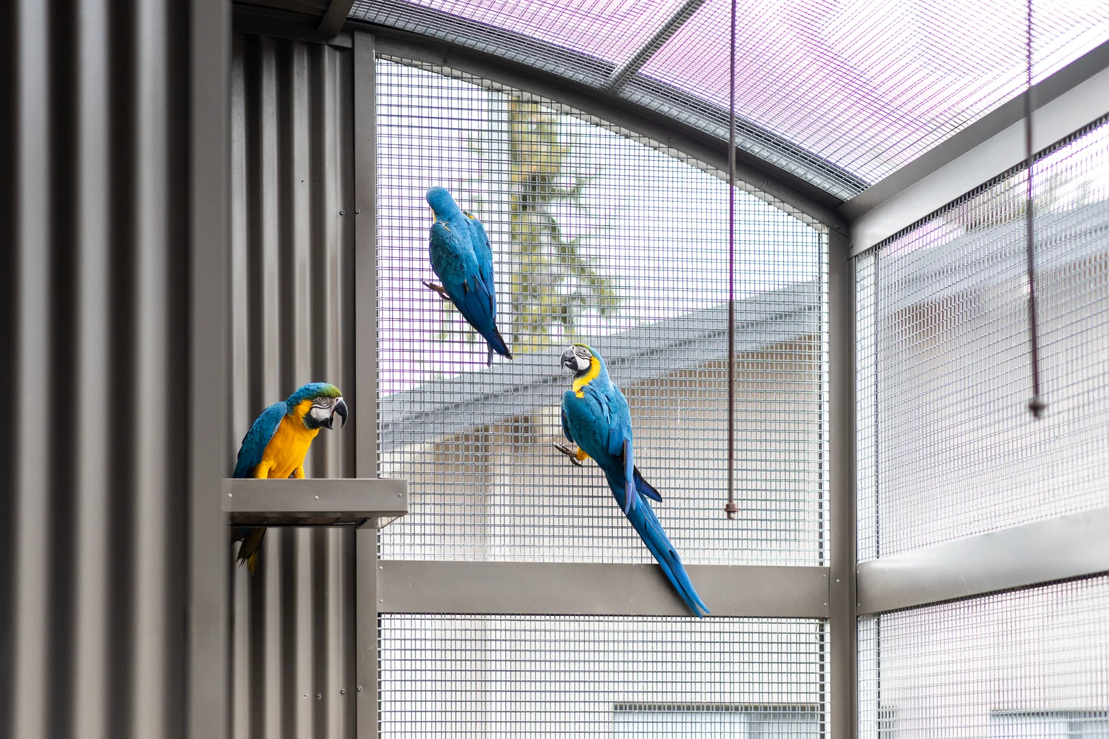 Additional image 25 of 61 Hill Street, Cooma NSW 2630