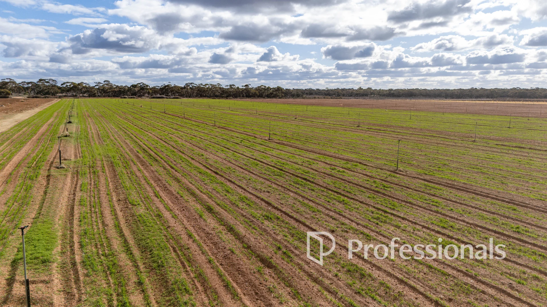 Additional image 3 of Cnr Norman Road, Merbein West VIC 3505