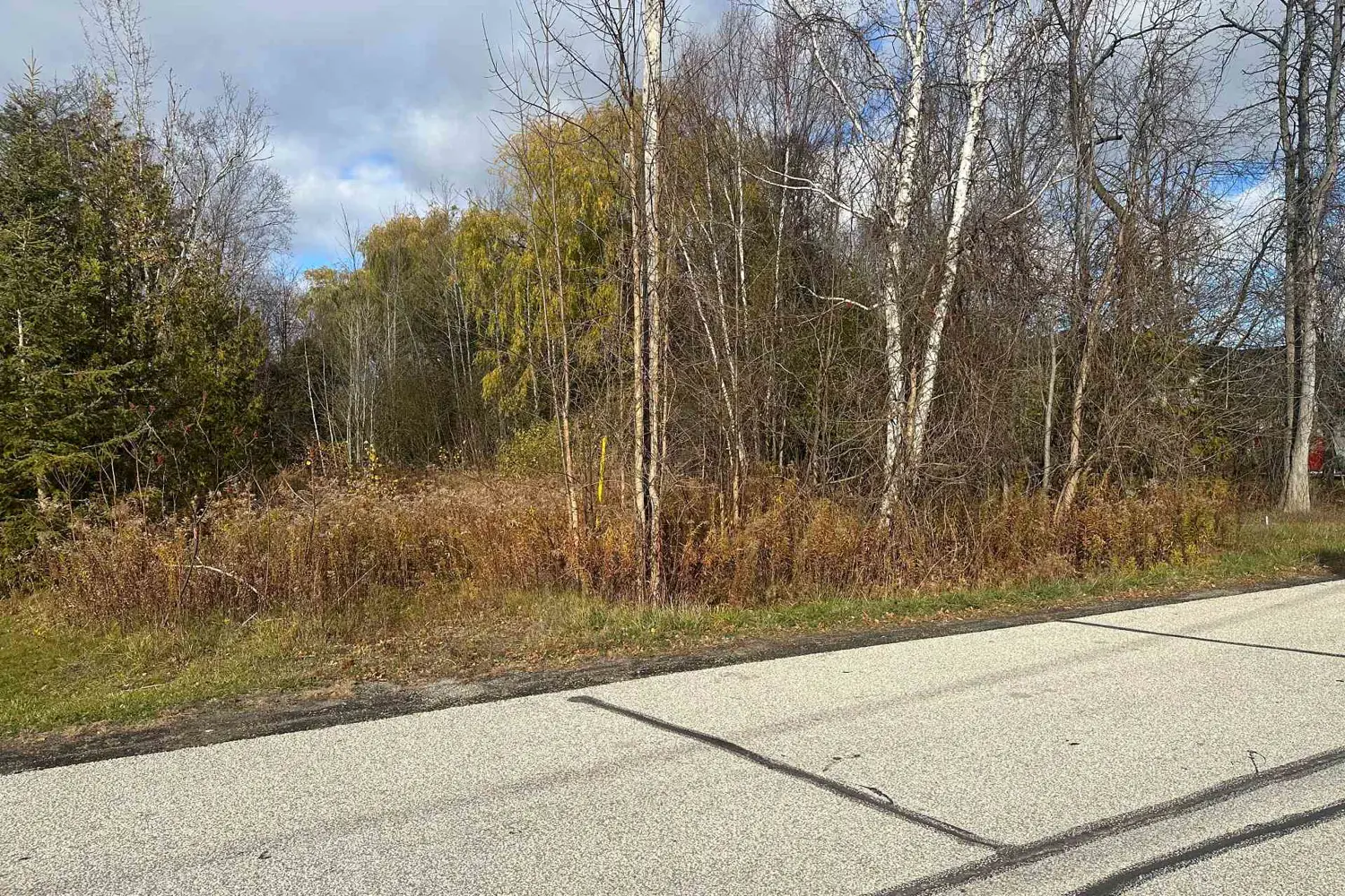 Additional image 7 of Lot 168 Dorothy Avenue