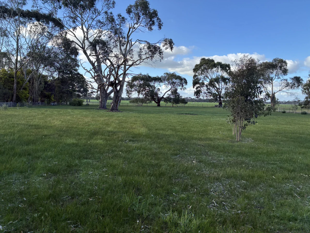 Additional image 9 of 8024 Hamilton Highway, Tarrington VIC 3301