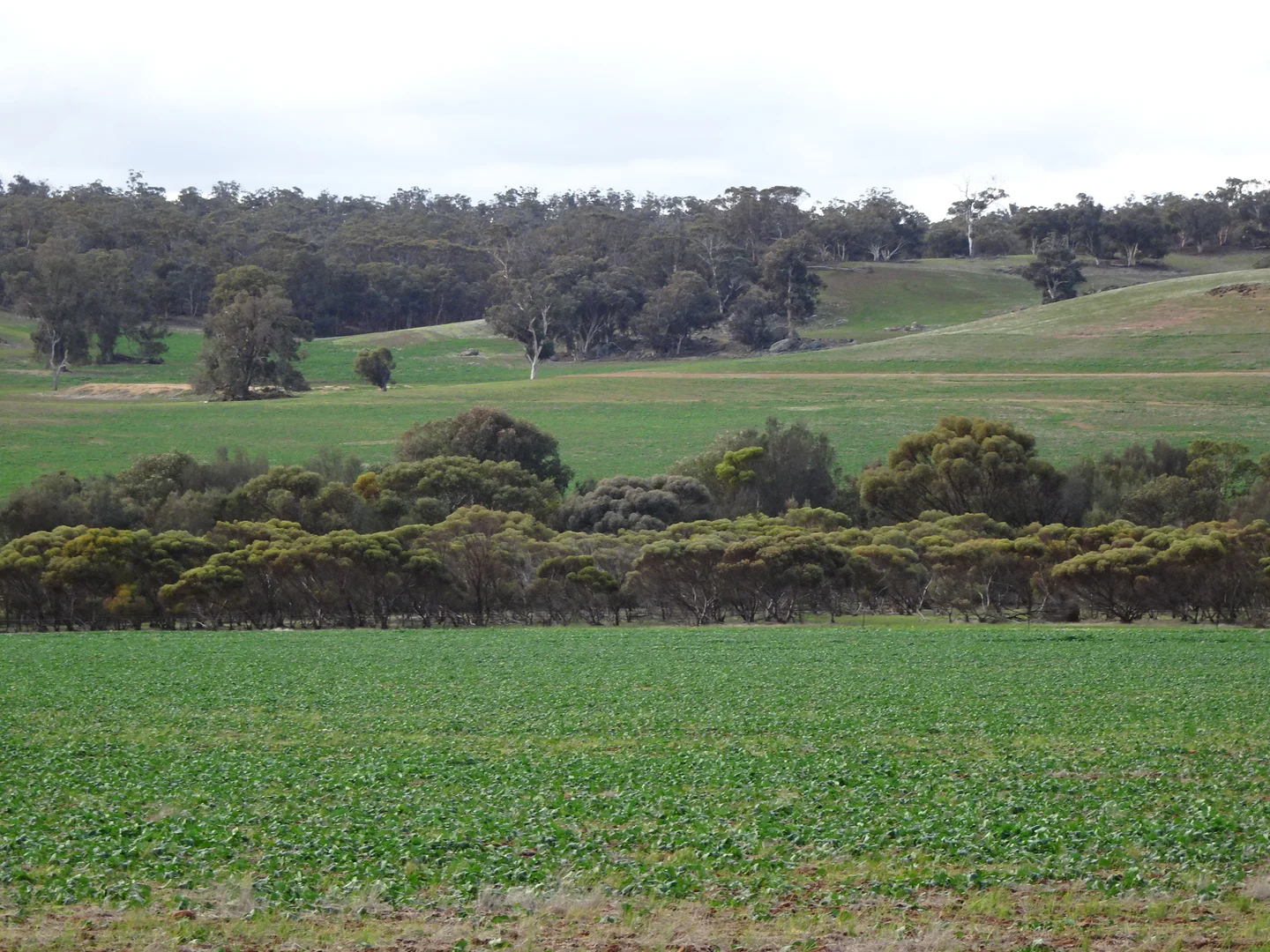 Additional image 2 of Grout Road, Cuballing WA 6311