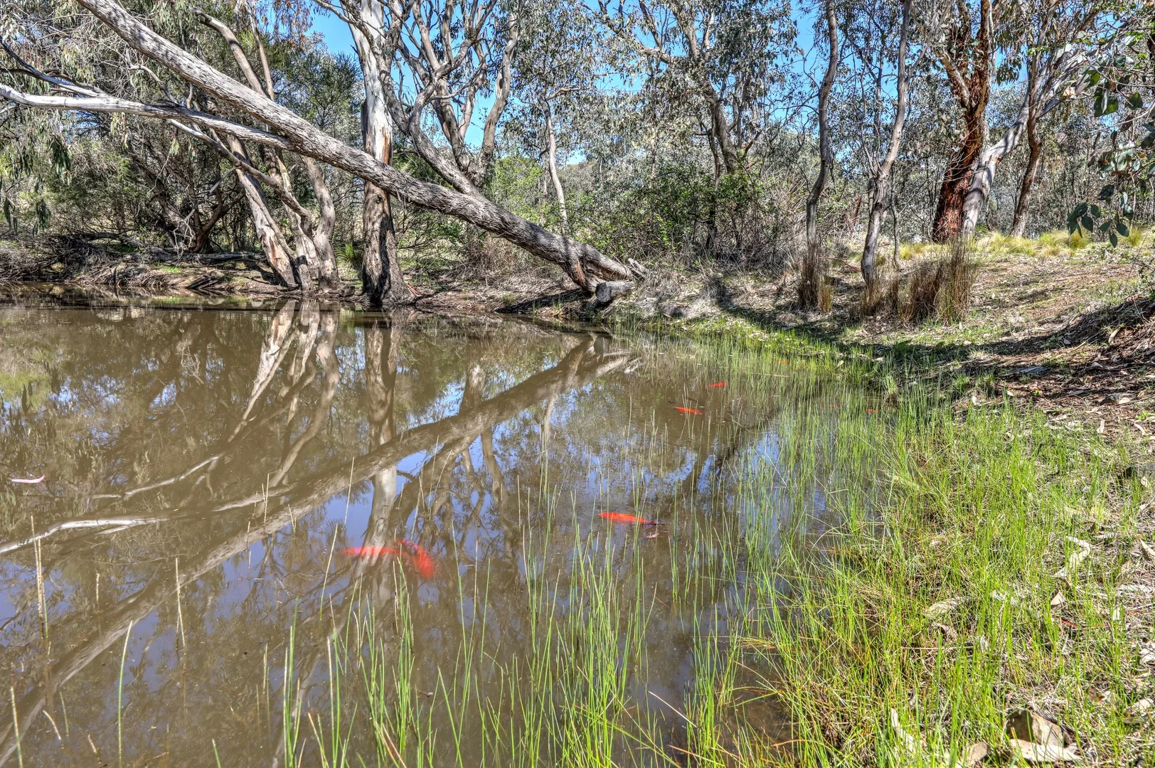 Additional image 2 of Lot 77-79, 131 Prescot Street, Lyndhurst NSW 2797