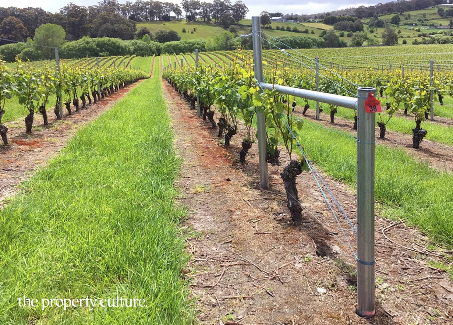 Additional image 25 of 42 Voss Rd, Glaziers Bay TAS 7109