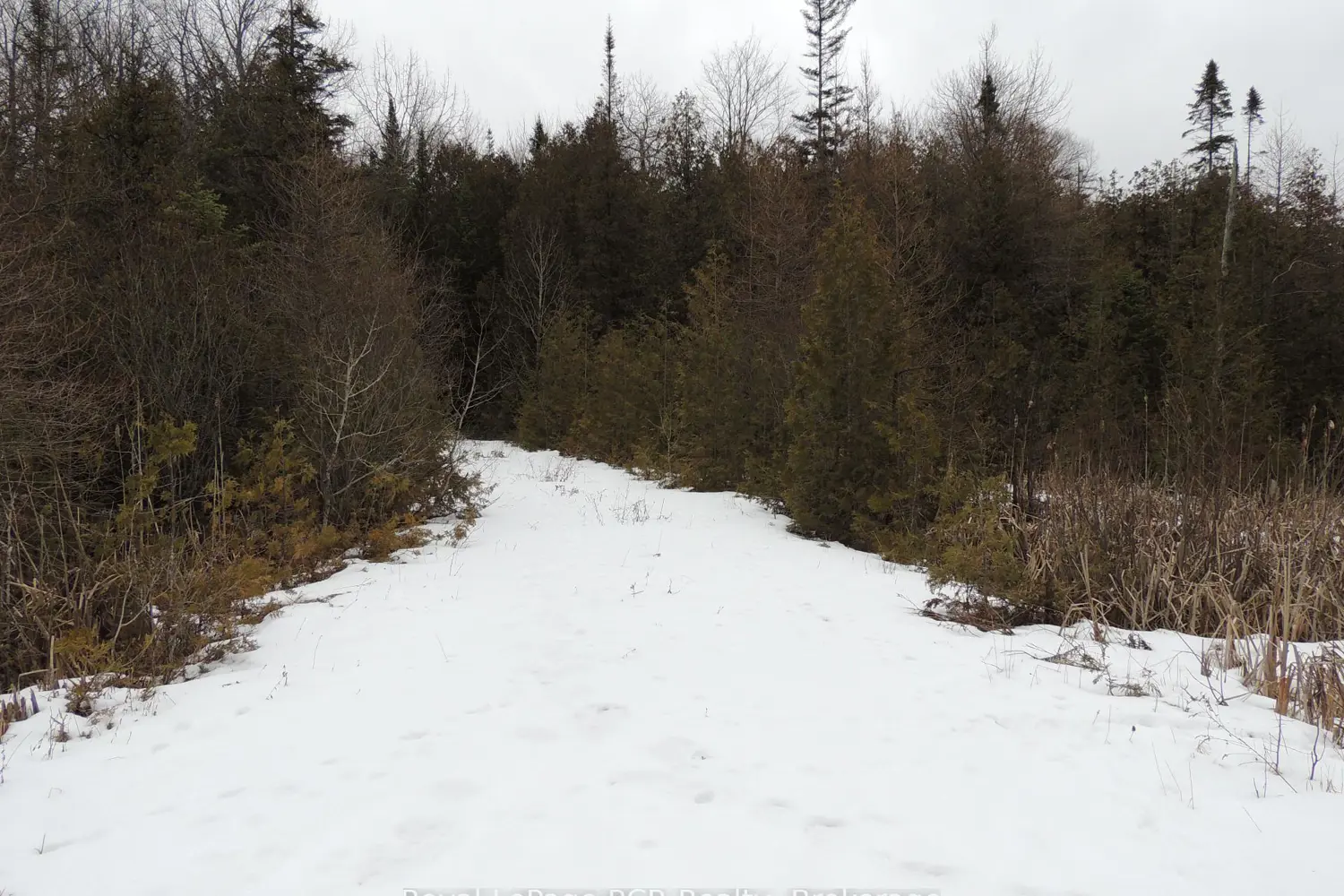 Additional image 2 of Ptlt 20 Southgate 57 Side Road