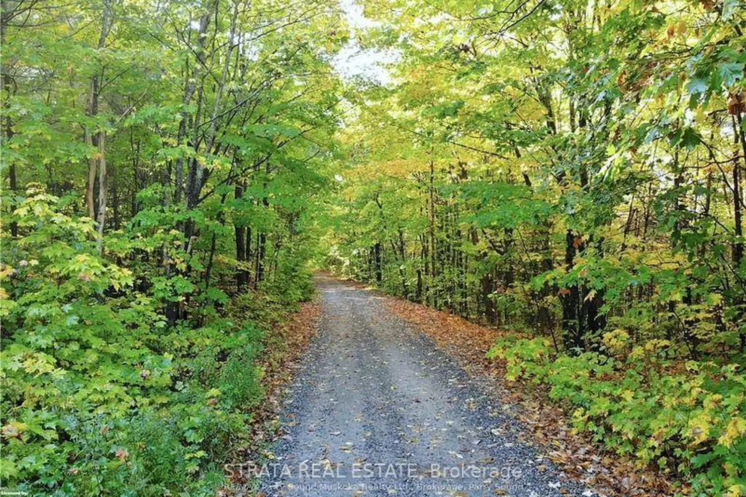 Additional image 11 of 0 518