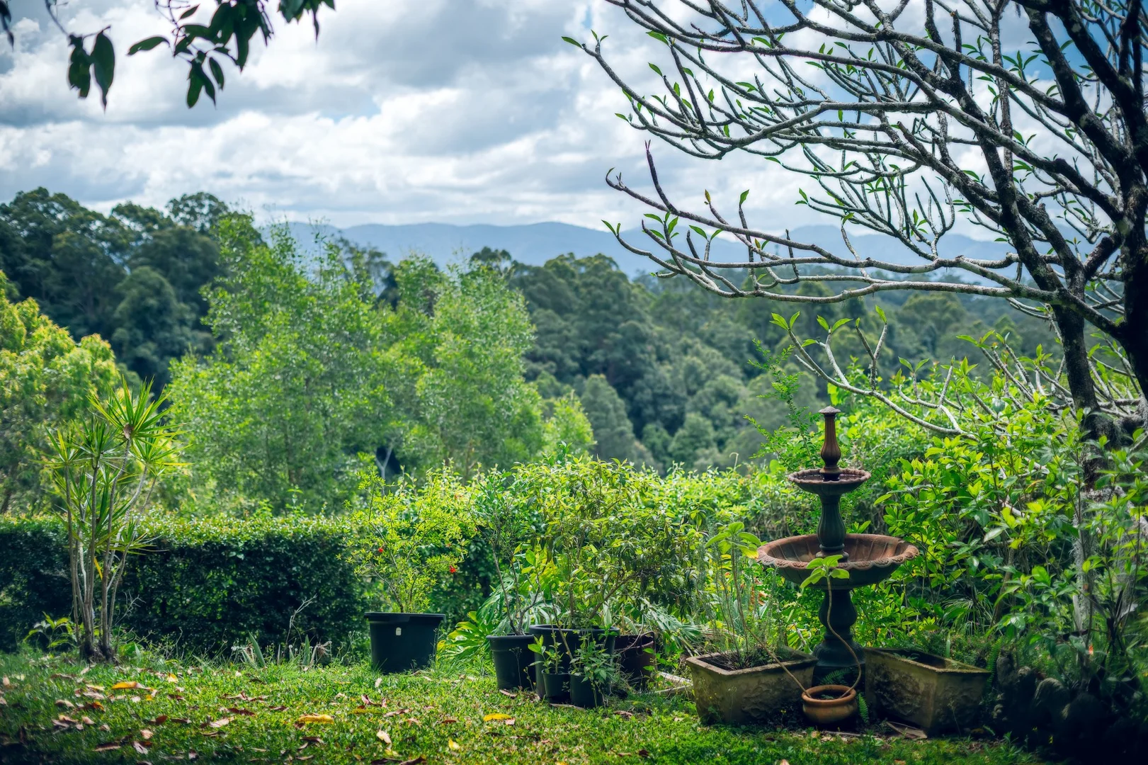 Additional image 21 of 136 Bowraville Road, Bellingen NSW 2454