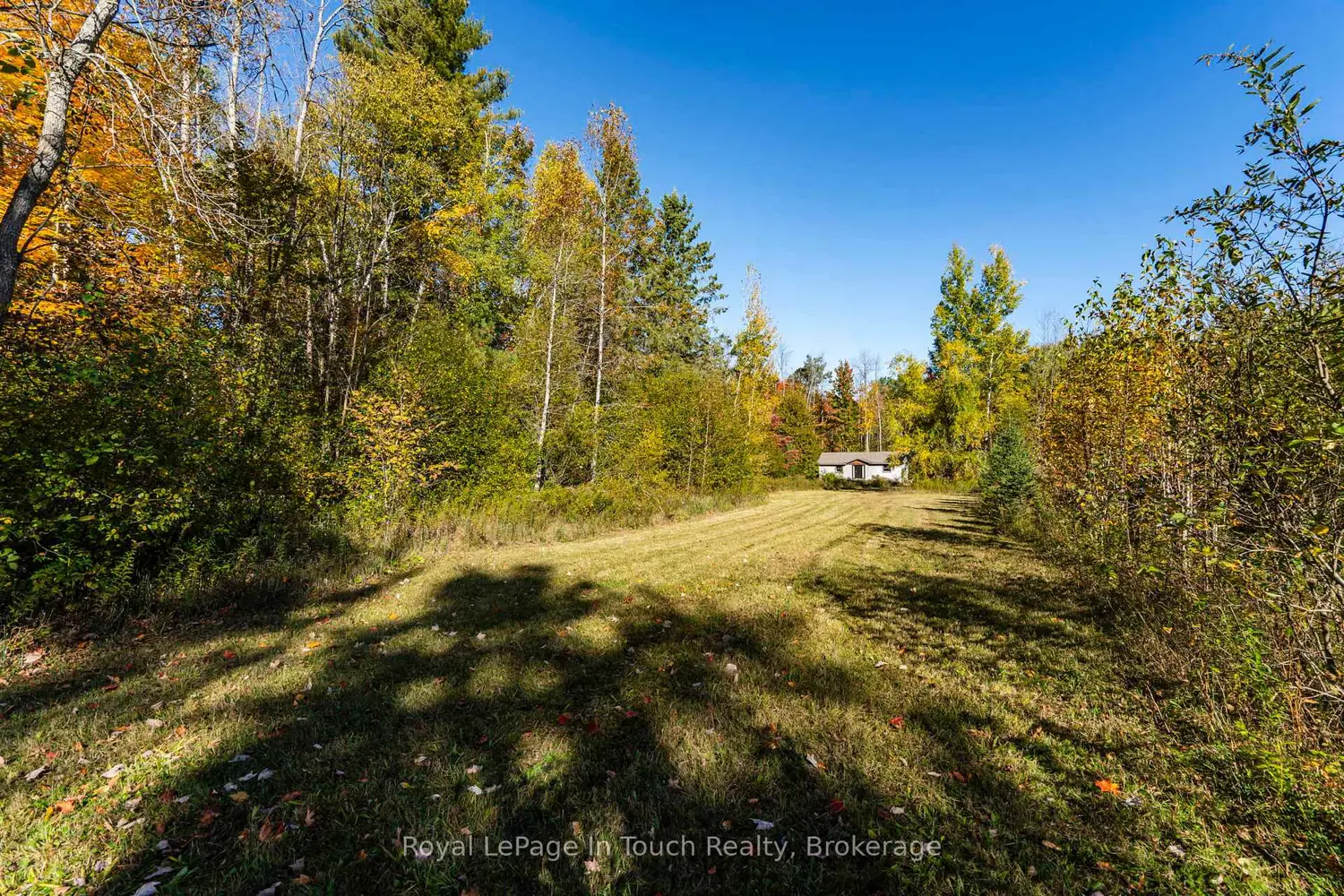 Additional image 13 of 250 Peek-A-Boo Trail