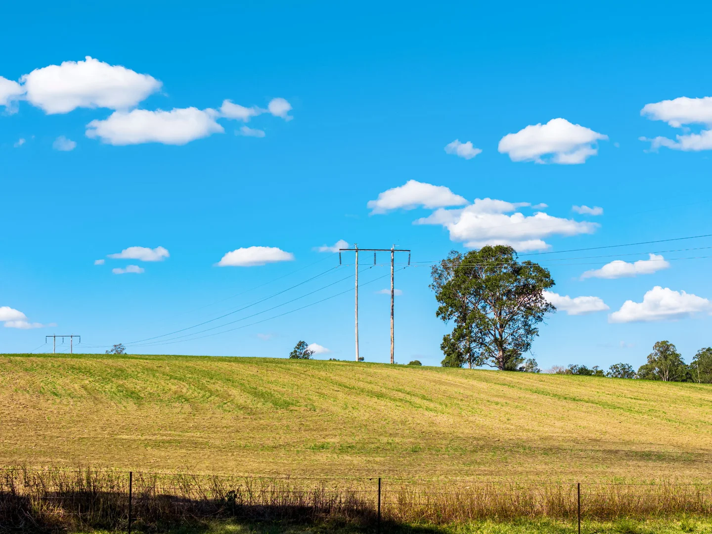 Additional image 34 of 119 Paddys Flat Road, Tabulam NSW 2469