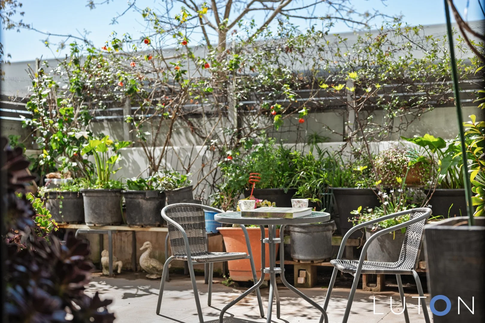 Additional image 19 of 4/39 Chandler Street, Belconnen ACT 2617