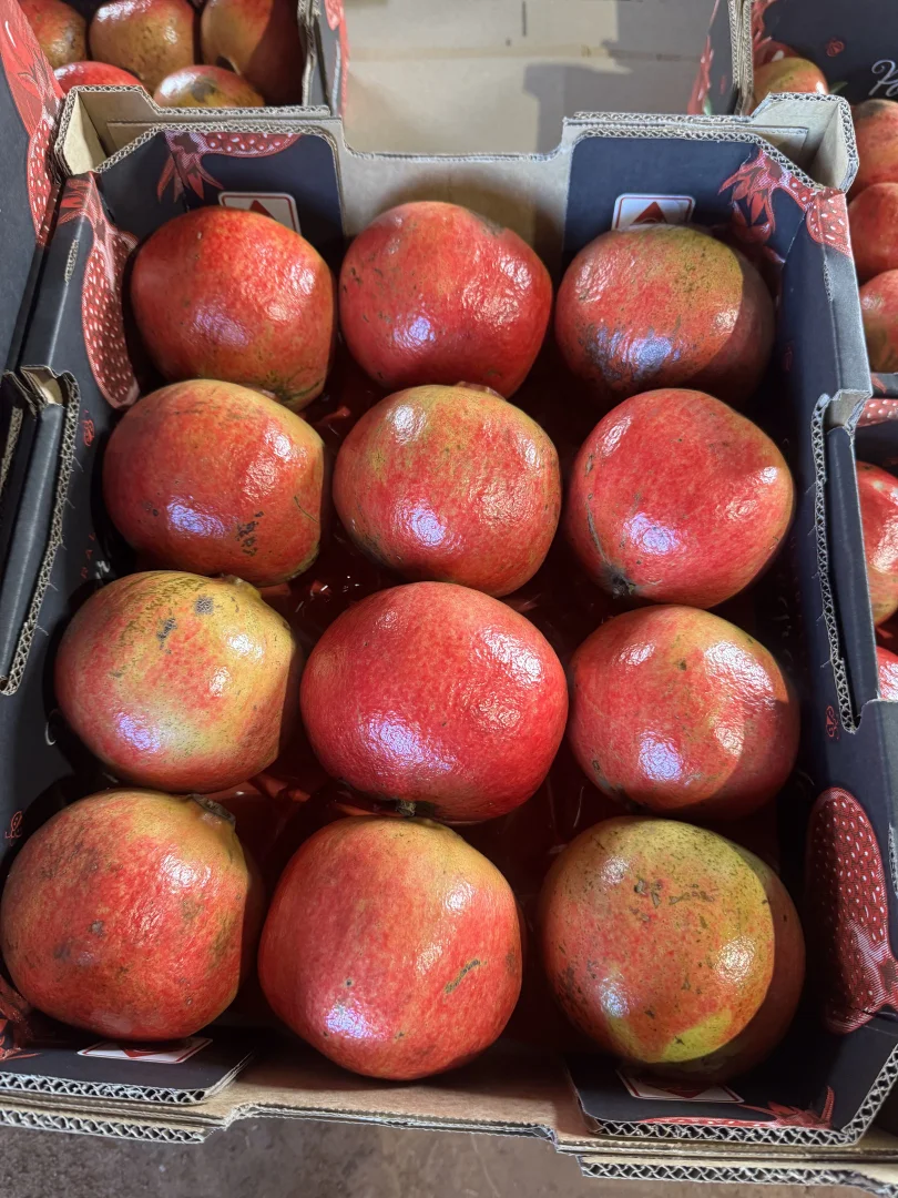 Additional image 23 of 440 Chewko Road, Mareeba QLD 4880