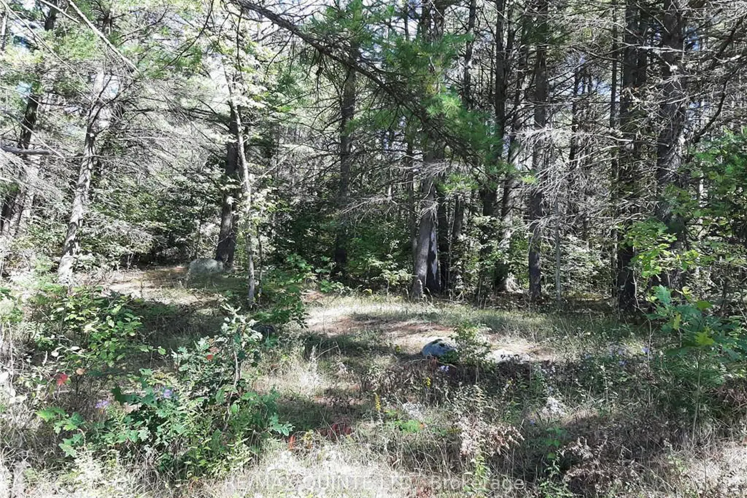 Additional image 9 of 0 Pt Lt12 Con14 Hwy 37 Road