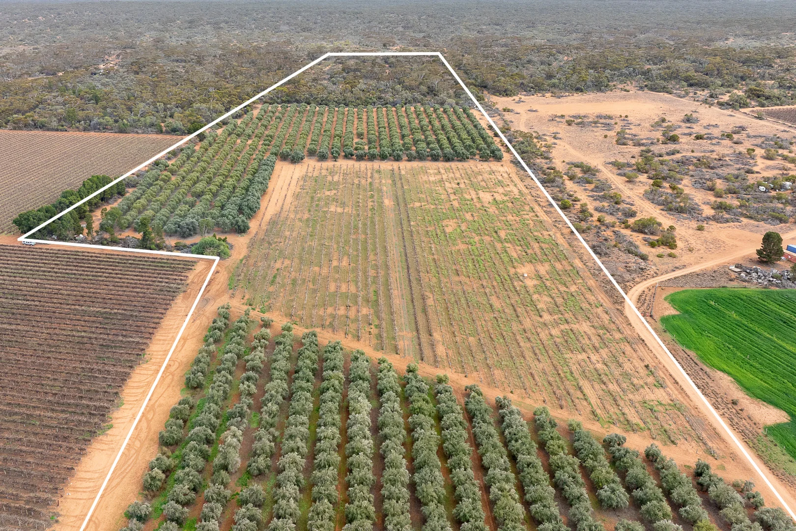 Additional image 6 of 334 Katarapko Crescent, Winkie SA 5343