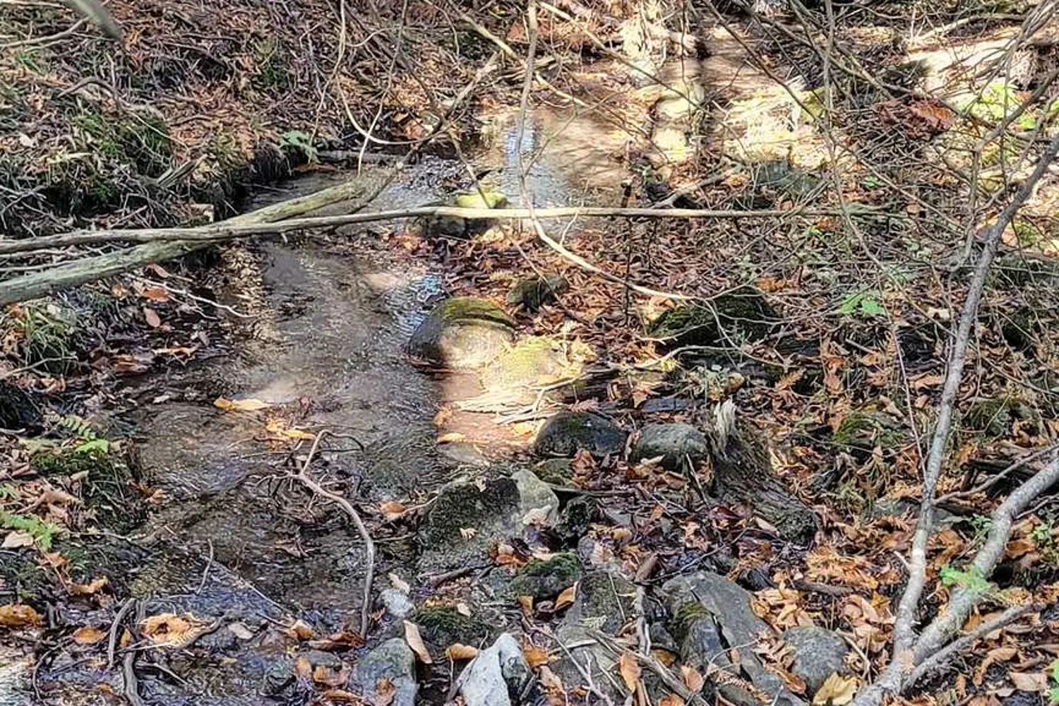 Additional image 6 of 323 Orange Corners Road