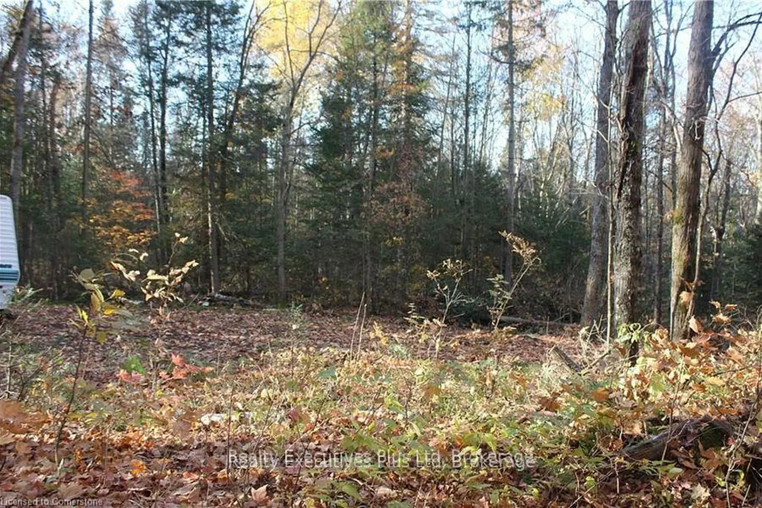 Additional image 12 of 00 Ottawa Avenue